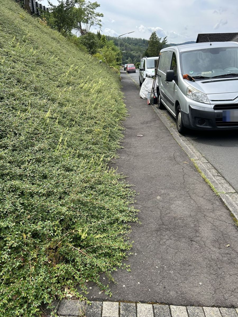 Vorher: Bodendecker an der Böschung wuchert über den Gehweg